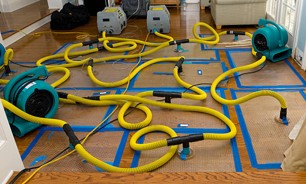 Professional Sewage Cleanup technician working in Aripeka, FL